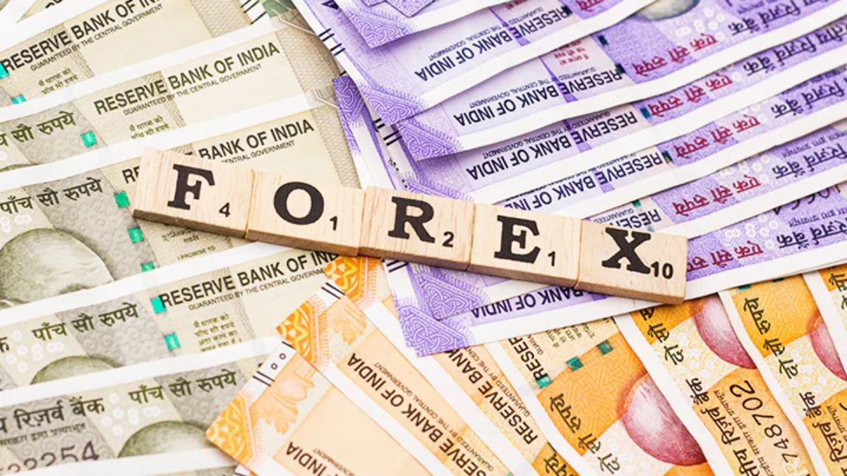 Understanding the Forex Market - A Global Playground for Currency Traders