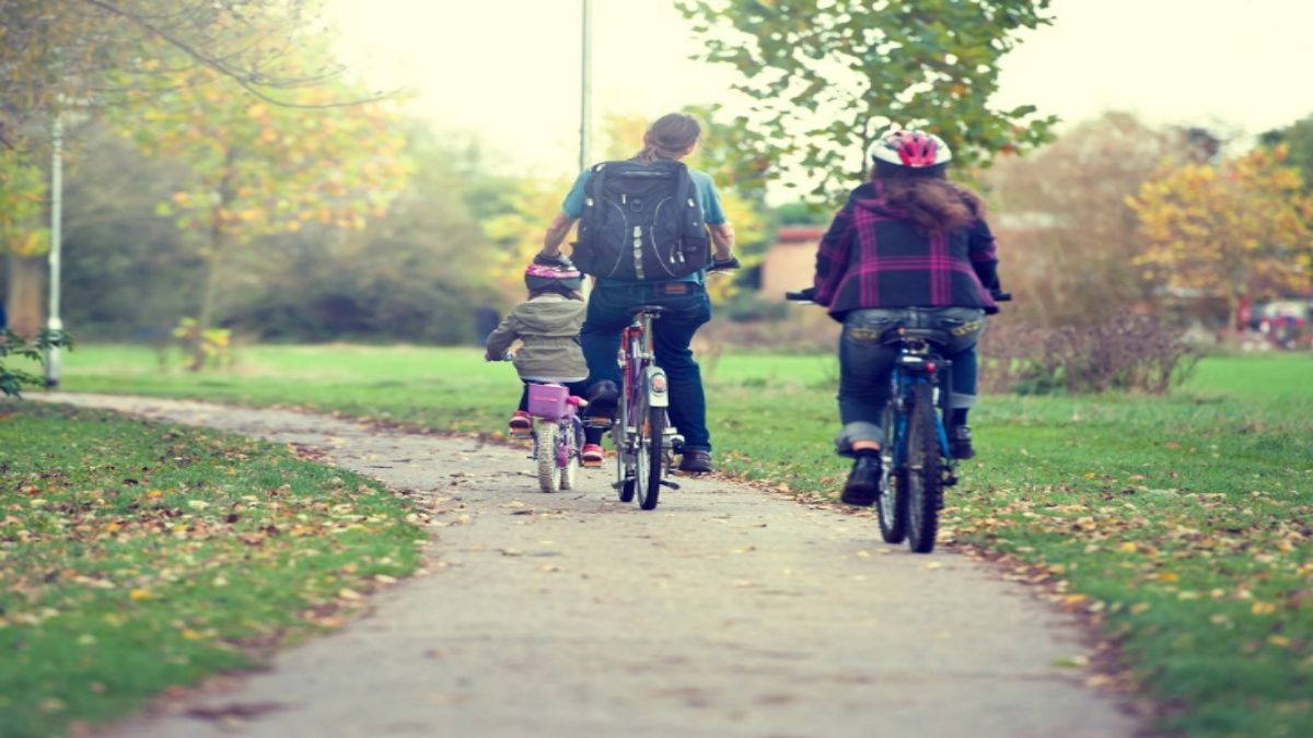 Paved Paradise or Gravel Playground? Your Guide to the Wild World of Cycling Routes