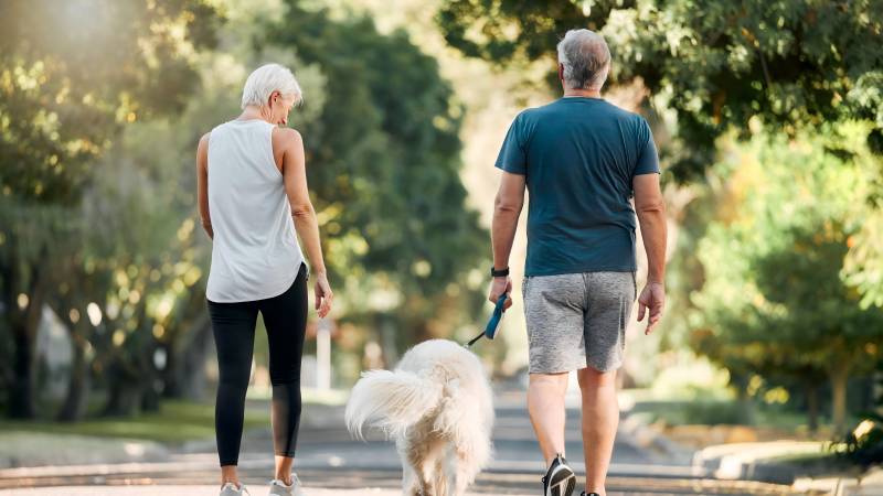 How do the elderly stay healthy and energetic by walking their dogs?